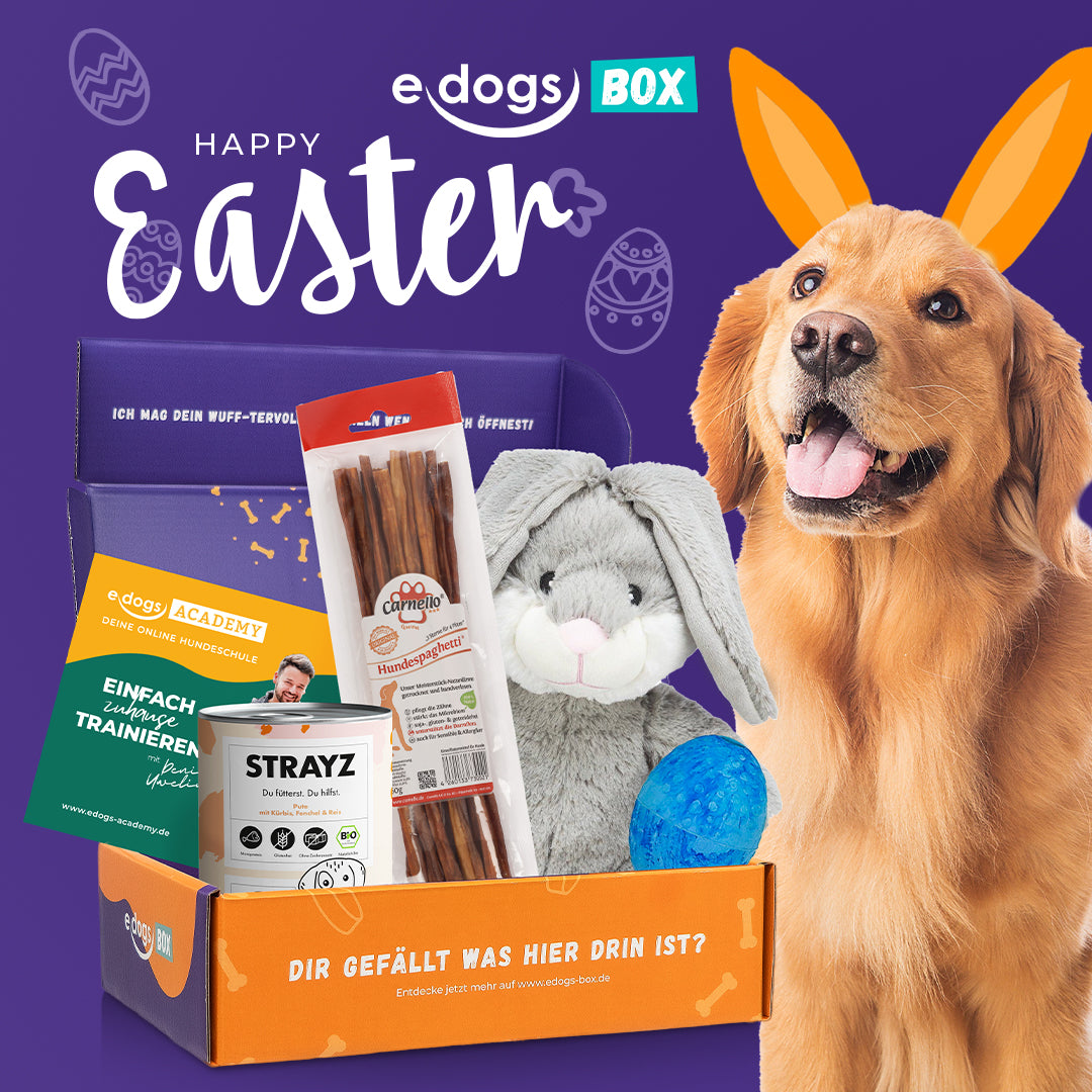 edogs Box - &quot;Happy Easter&quot; Edition