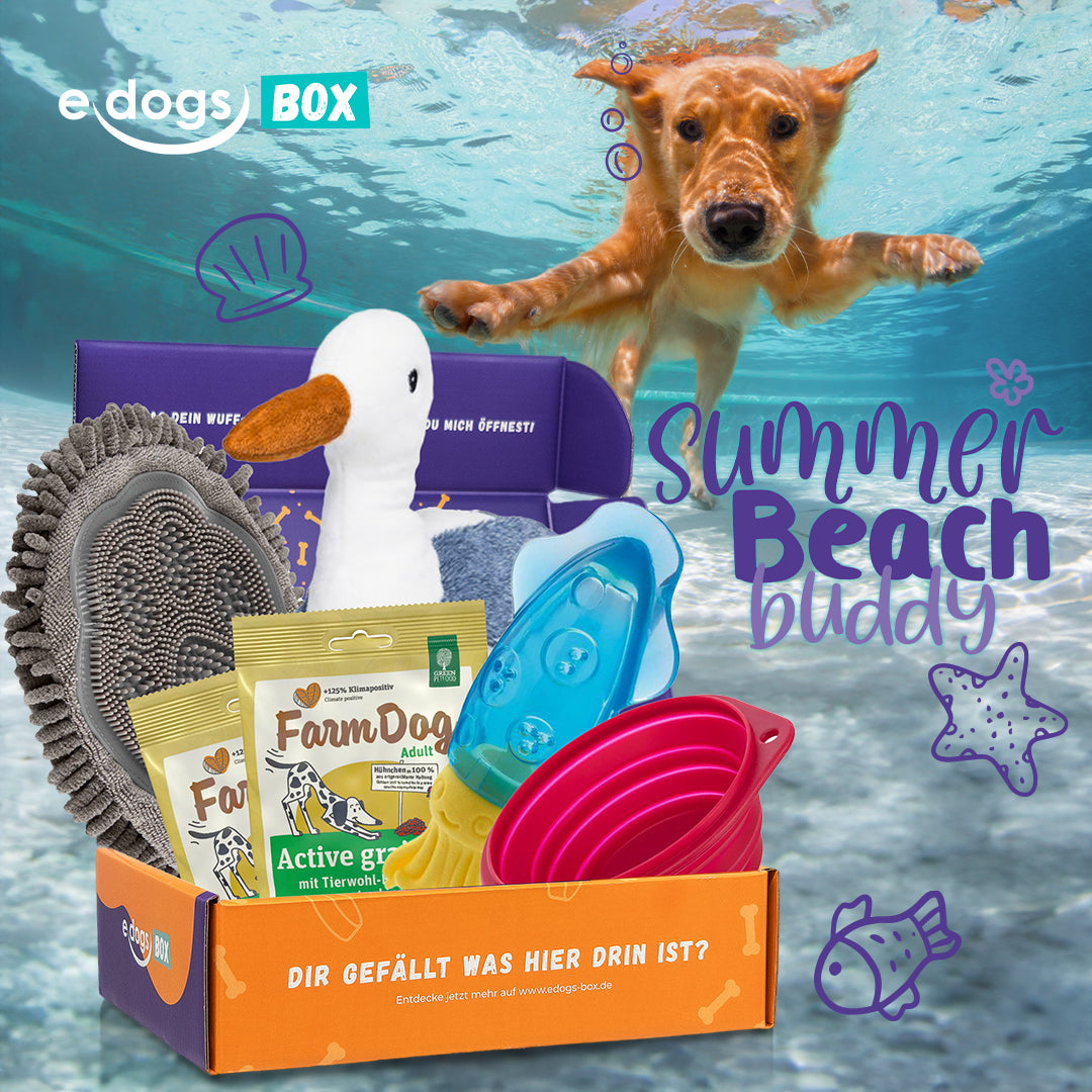 edogs Box - &quot;Summer Beach Buddy&quot; Juli Edition