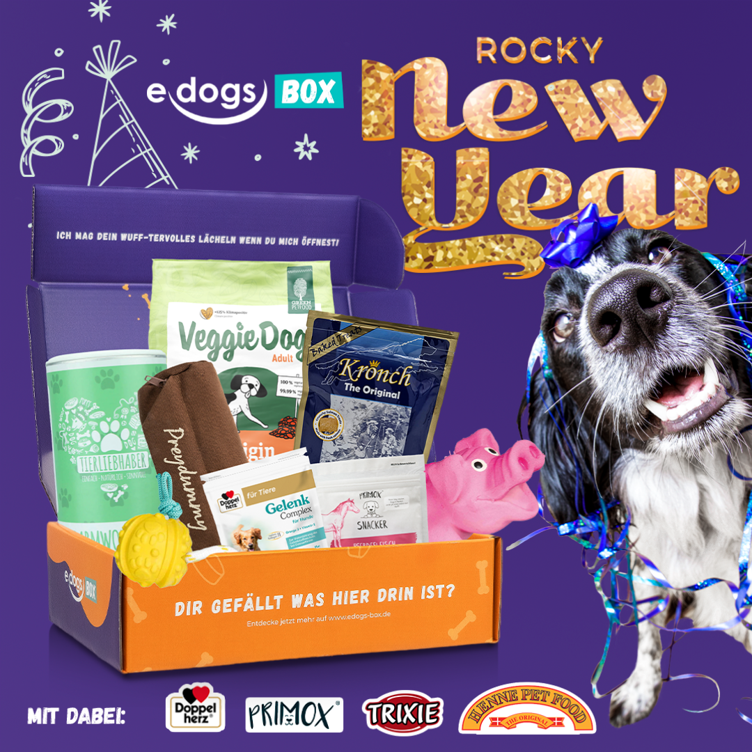 edogs Box - &quot;Rocky New Year&quot; Edition
