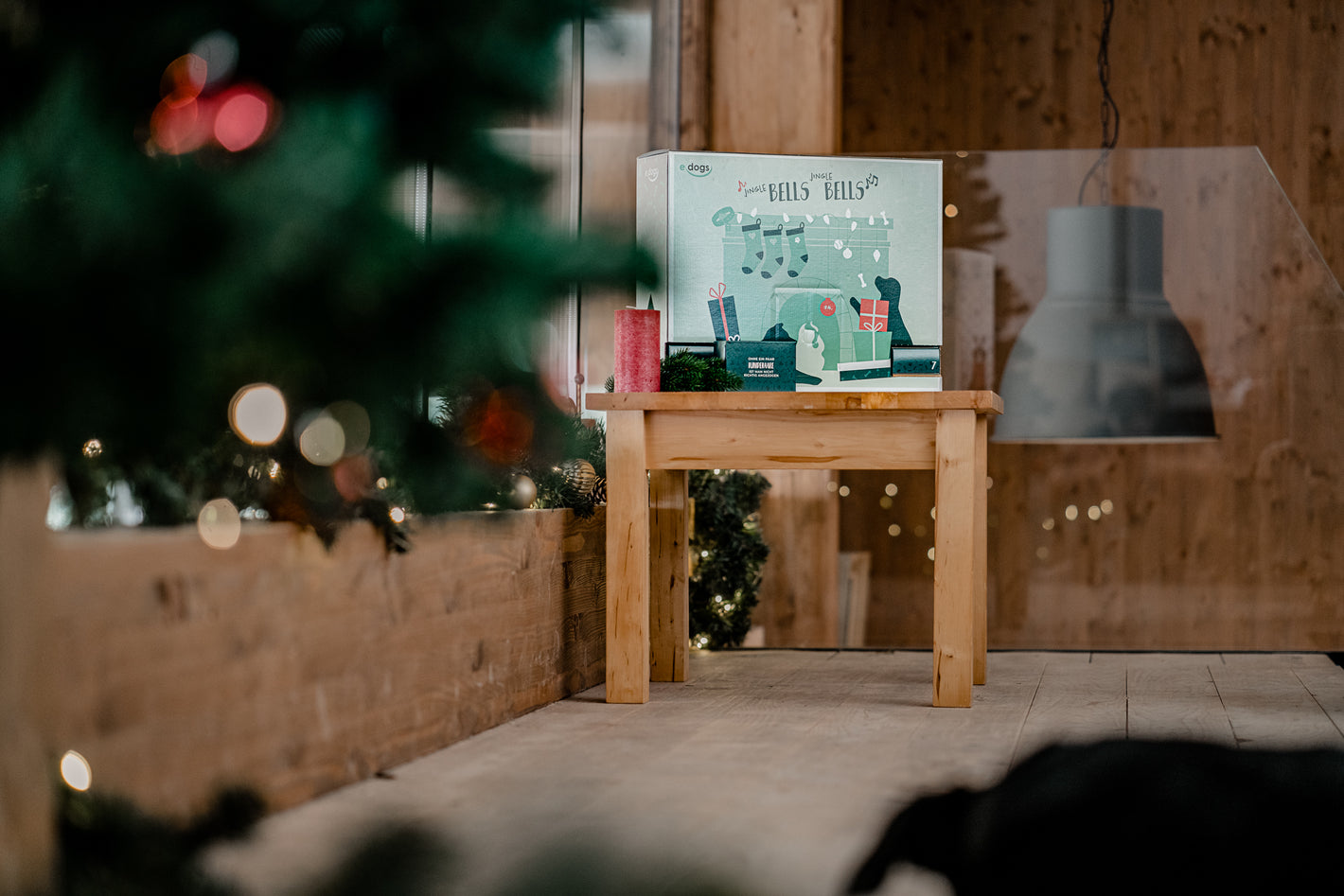 Hunde Adventskalender steht in einer Ecke, umgeben von Weihnachtsdekoration