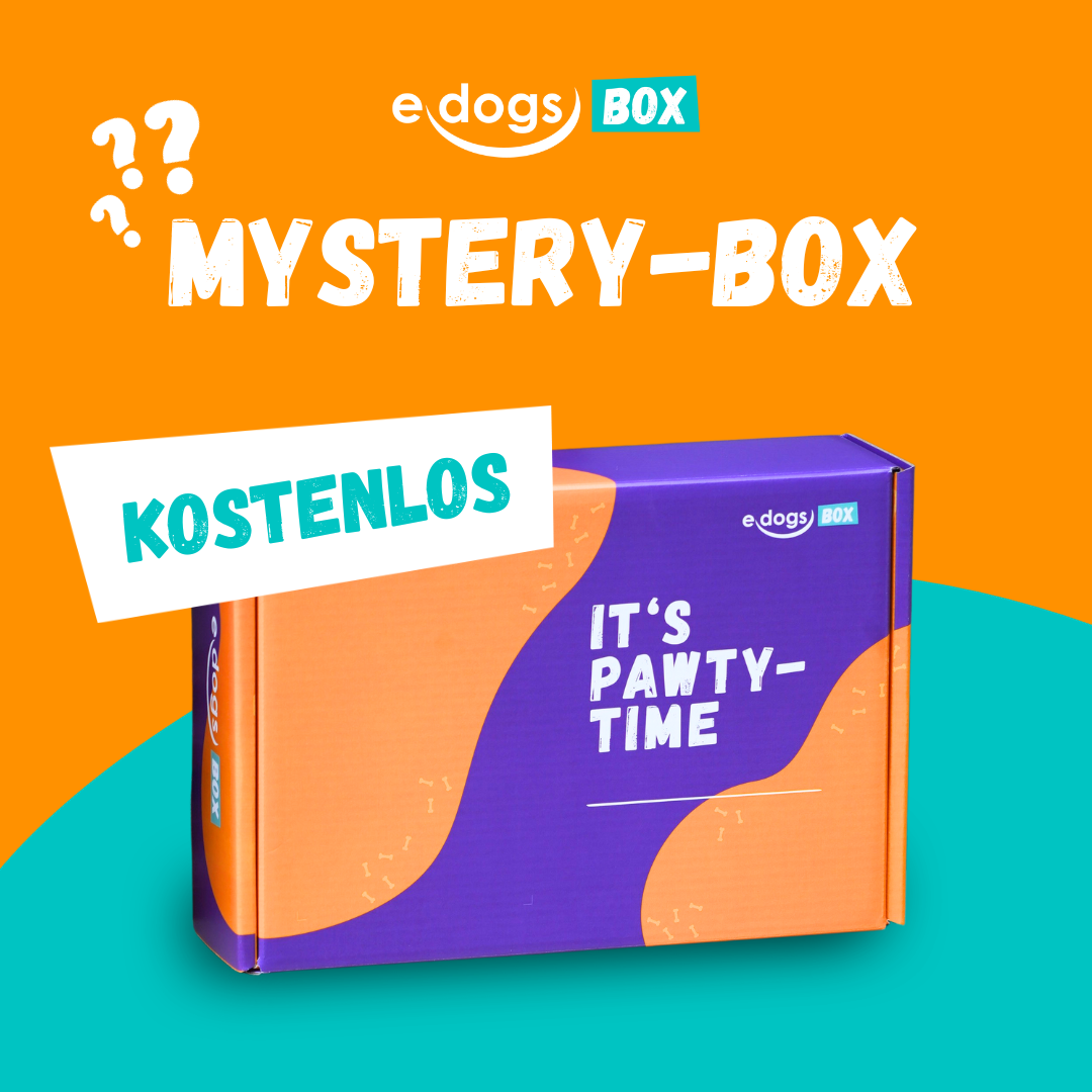 Mystery Box [nur mit Aktion erhältlich]