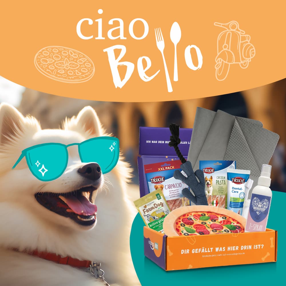 edogs Box - &quot;Ciao Bello&quot; August Edition